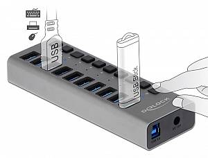 DELOCK USB hub 63670 με διακόπτες, 10x θυρών, 5Gbps, γκρι 63670