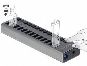 DELOCK USB hub 63738 με διακόπτες, 13x θυρών, 5Gbps, γκρι 63738