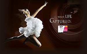 SILICON POWER κάρτα μνήμης microSDXC Elite, 32GB, C10 UHS-I U1 A1 V10 SP032GBSTHBV1V20SP