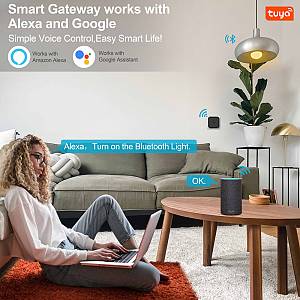INHOCON smart hub WG02, Wi-Fi & Bluetooth, μαύρο WG02