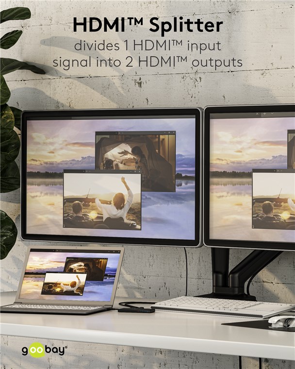 GOOBAY HDMI splitter 58481, 1-in σε 2-out, 4K/60Hz, μαύρο 58481