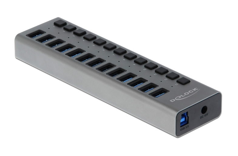 DELOCK USB hub 63738 με διακόπτες, 13x θυρών, 5Gbps, γκρι 63738