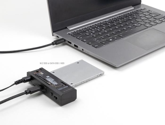 DELOCK docking station για M.2 NVMe/SATA ή 2.5/3.5 SSD/HDD 64253, 10Gbps, μαύρο 64253
